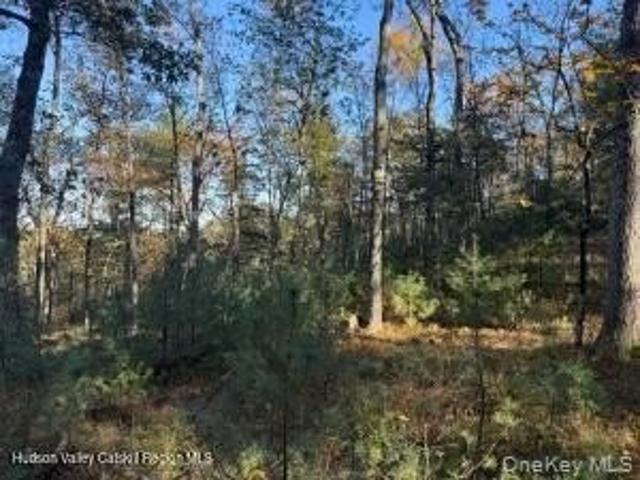 Land for sale in Town of Hurley, Ulster County