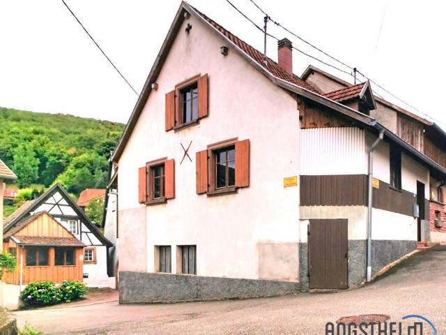 Maison vente à Sélestat-Erstein, Reichsfeld