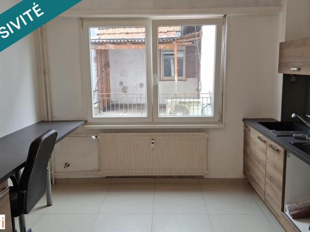 Appartement vente à Haguenau-Wissembourg, Reichshoffen