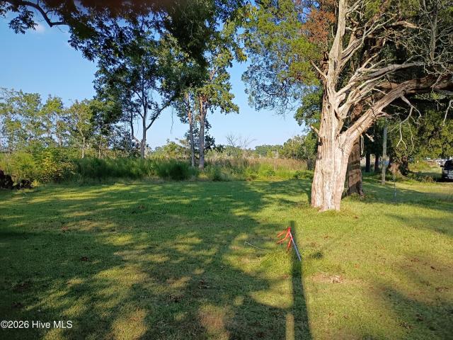 Land for sale in Aurora, North Carolina