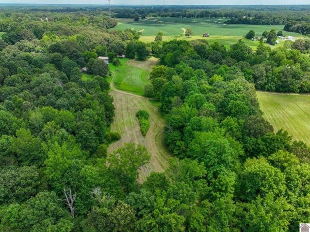 Land for sale in Symsonia