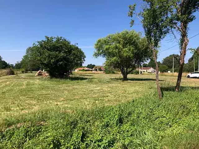 Terrain vente à France métropolitaine, Reignac