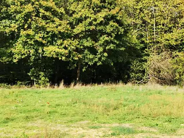Terrain vente à Loches, Reignac-sur-indre