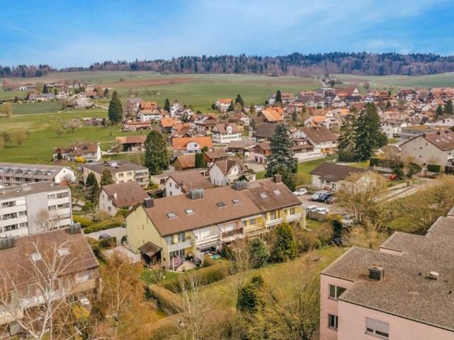 Reihenfamilienhaus kaufen in Berikon, Aargau
