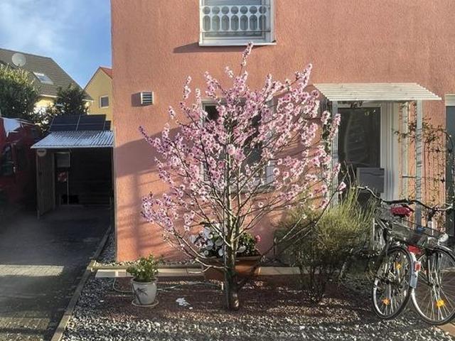 Haus kaufen in Mutterstadt, Rheinland-Pfalz