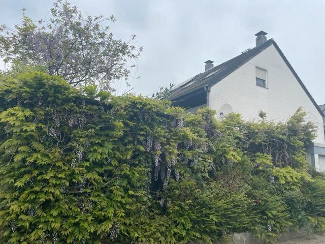 Haus kaufen in Mainz-Amöneburg, Wiesbaden