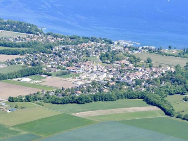 Haus kaufen in Crans-près-Céligny, Waadt