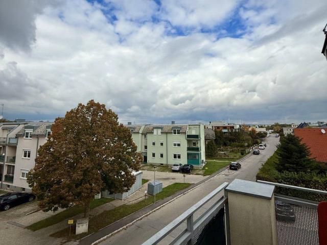 Haus mieten in Gänserndorf, Niederösterreich