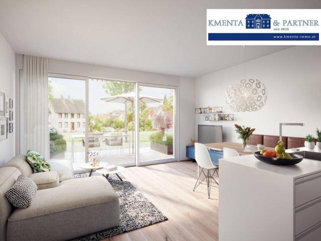 Haus kaufen in Hohenweiler, Vorarlberg