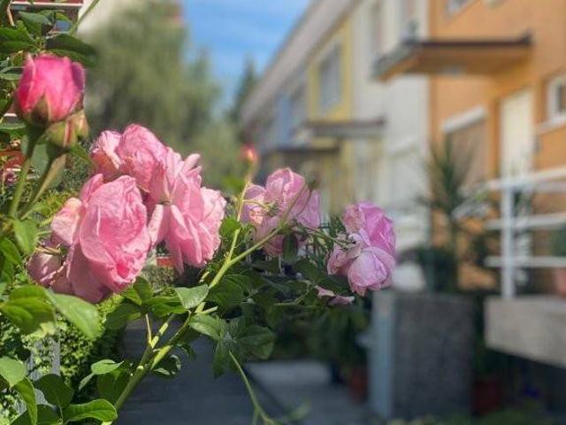 Haus kaufen in Völs, Tirol