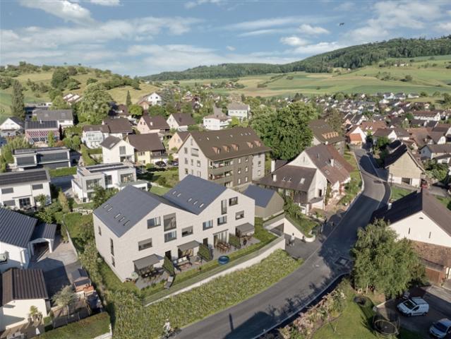 Einfamilienhaus kaufen in Arisdorf, Basel-Landschaft