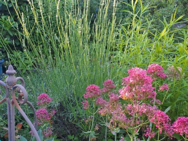 Haus kaufen in Göttingen, Niedersachsen