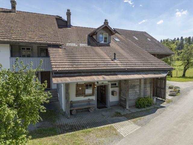 Haus kaufen in Grüningen, Zürich