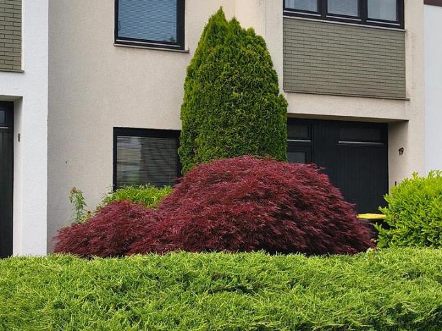 Haus kaufen in Schildesche, Bielefeld
