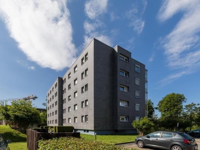 Wohnung mieten in Liestal, Bezirk Liestal