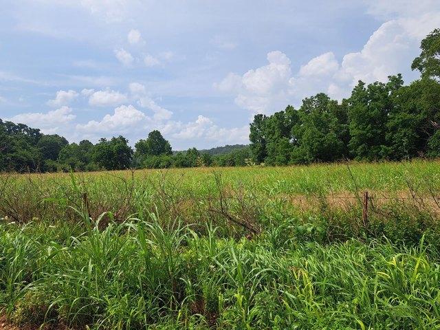 Land for sale in Granby, Missouri
