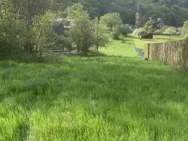 Terrain vente à Saverne, Reinhardsmunster