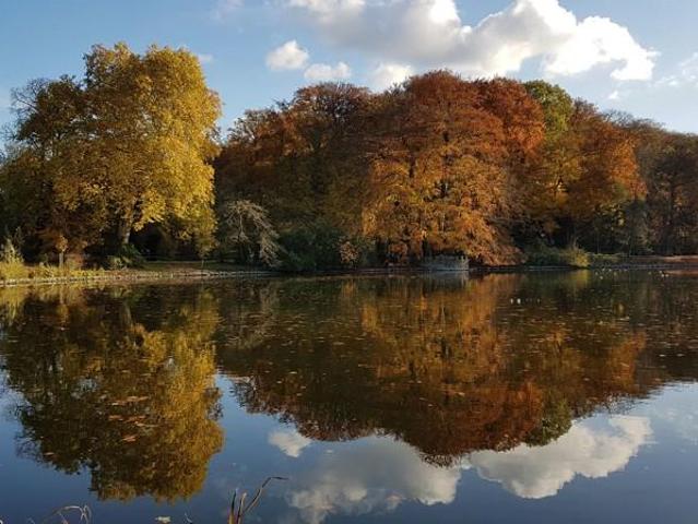 Wohnung mieten in Hombruch, Dortmund