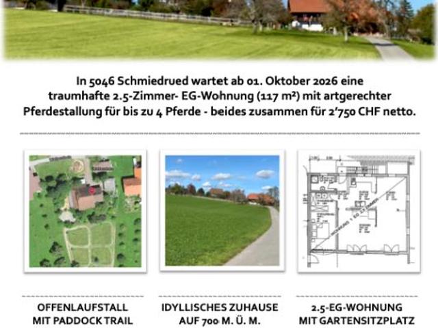 Immobilie mieten in Schmiedrued, Aargau