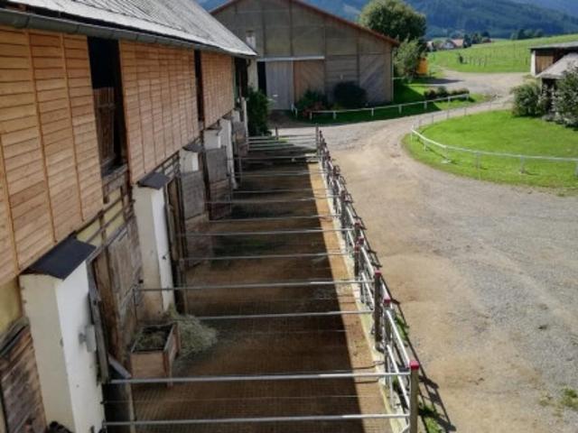 Immobilie kaufen in Seckau, Steiermark