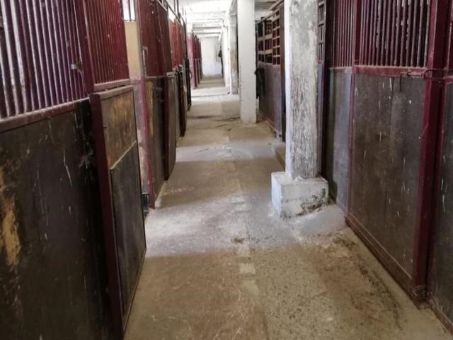 Immobilie mieten in Seckau, Steiermark