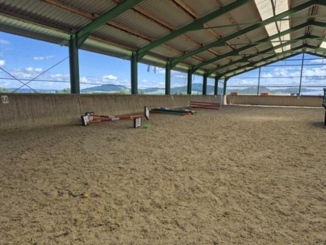 Immobilie mieten in Neumarkt am Wallersee, Salzburg