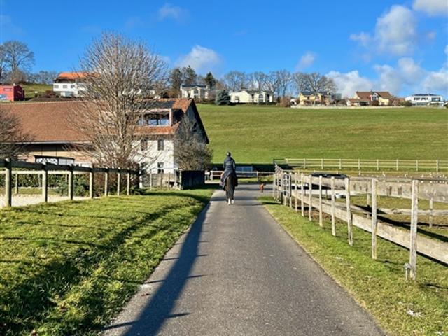 Bauernhaus kaufen in Villars, Freiburg