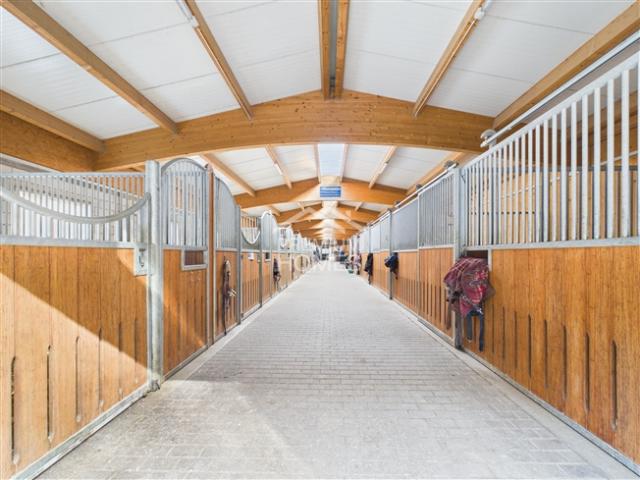 Bauernhaus kaufen in Brienzwiler, Bern