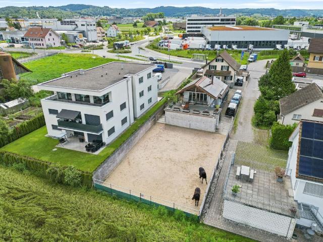 Reihenfamilienhaus kaufen in Aarburg, Aargau