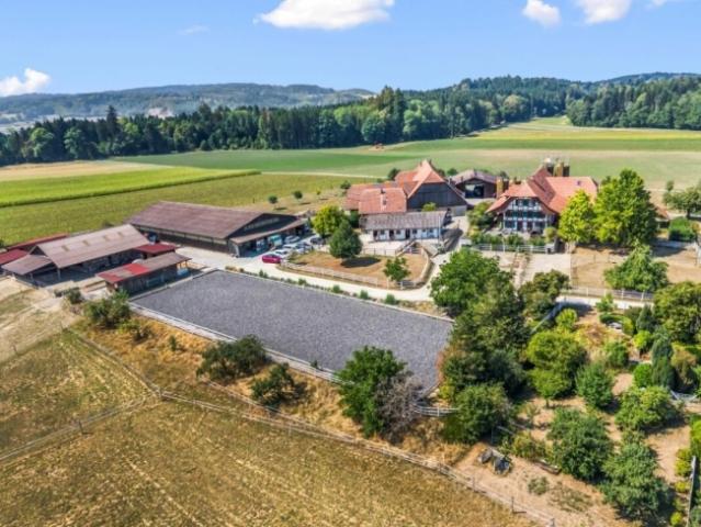 Wohnung kaufen in Rapperswil (BE), Bern