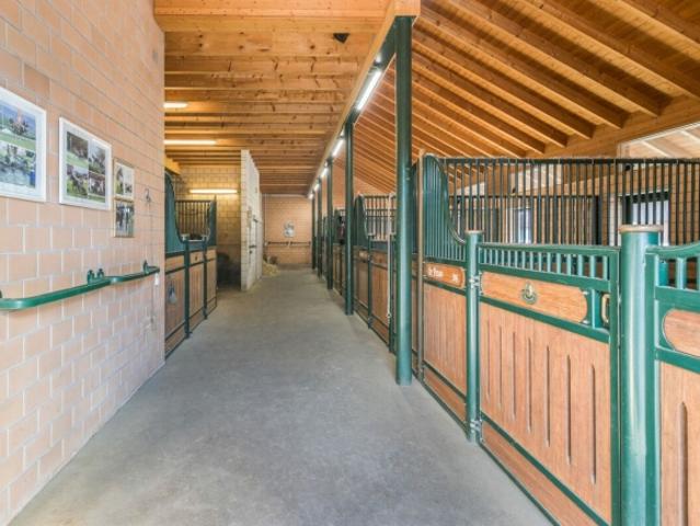 Immobilie kaufen in Niederbipp, Bern