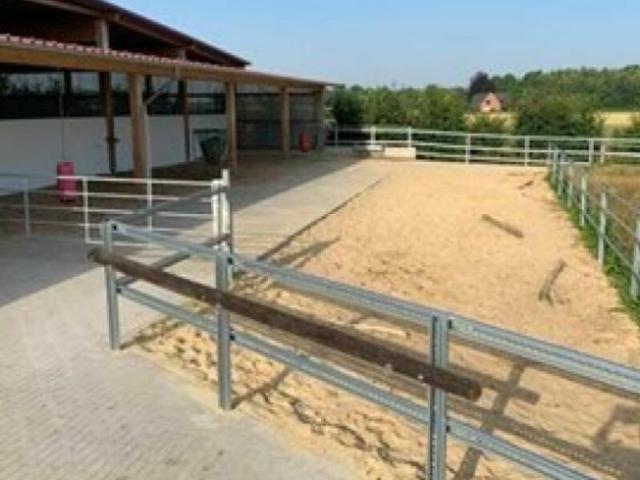 Wohnung kaufen in Lü