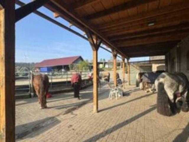 Landwirtschaft kaufen in Kleinstadt, Luzern