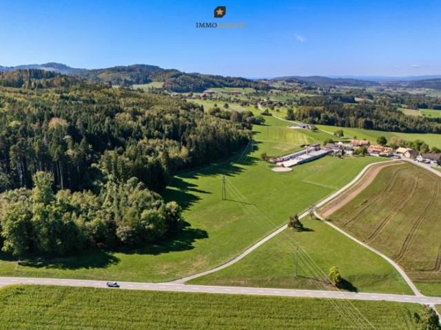 Grundstück kaufen in Freudenberg, Münchwilen (TG)