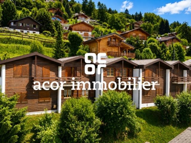 Haus kaufen in Baar, Nendaz, Wallis
