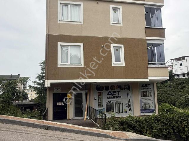 Ordu içerisinde kiralık mülk