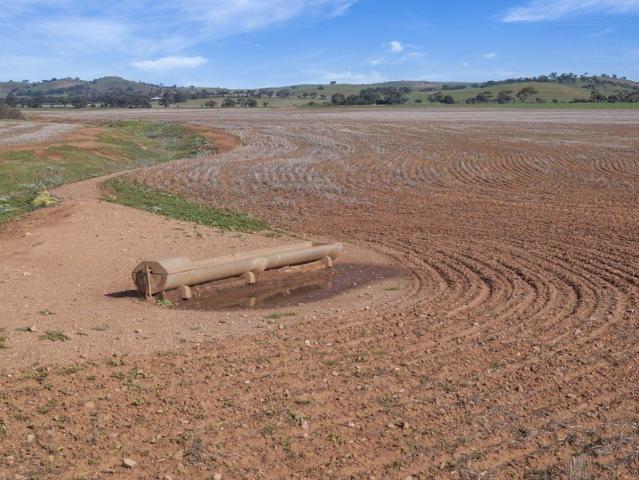 Cottage for sale in Goyder, South Australia