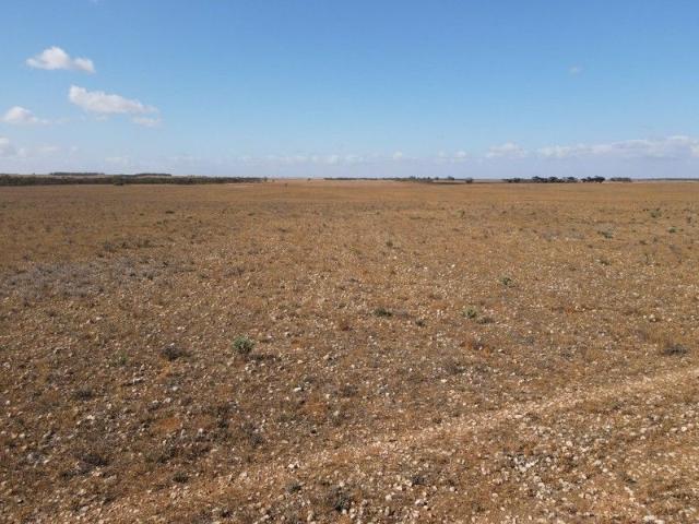 Cottage for sale in Black Hill, South Australia