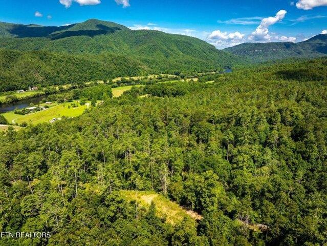 Land for sale in Reliance, Tennessee