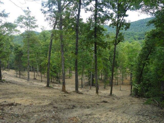 Land for sale in Reliance, Tennessee
