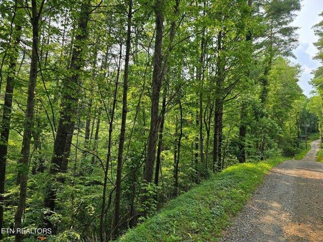 Land for sale in Reliance