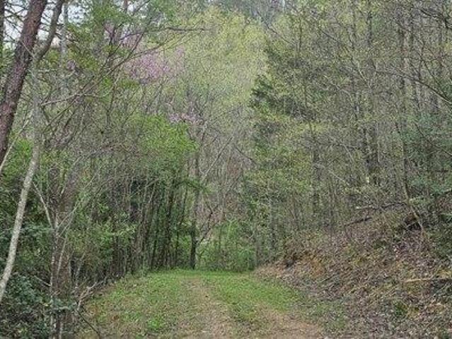 Land for sale in Reliance, Tennessee