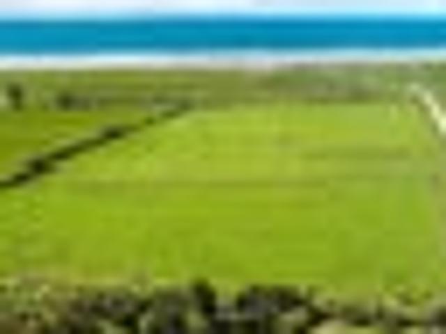 Land for sale in West Coast
