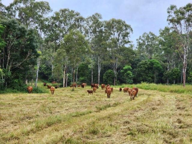 Cottage for sale in Kanigan, Queensland