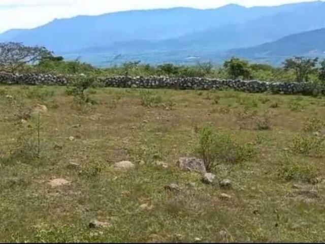 Terreno en venta en El Grullo, Jalisco