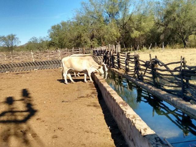 Rancho en venta en El Fuerte, Sinaloa