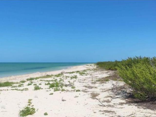 Remato Terreno en Celestun, Yucatan