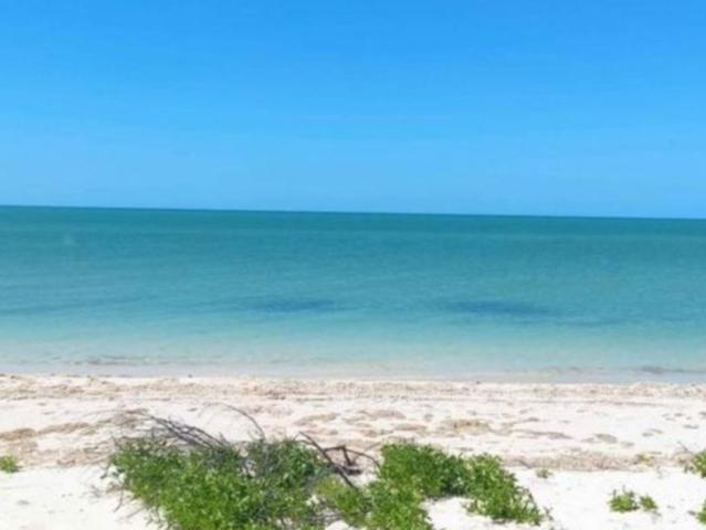 Remato Terreno en Celestun, Yucatan