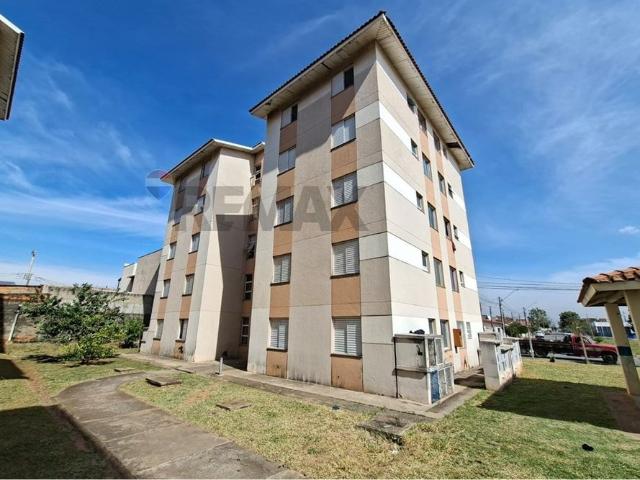 Apartamento aluguel em Região Imediata de Campinas, Região Metropolitana de Campinas