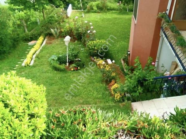 Şile, İstanbul içerisinde kiralık mülk